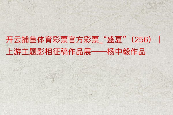 开云捕鱼体育彩票官方彩票_“盛夏”（256） | 上游主题影相征稿作品展——杨中毅作品