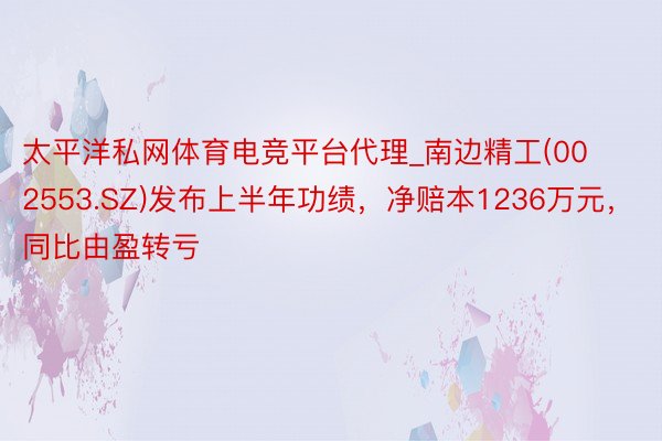 太平洋私网体育电竞平台代理_南边精工(002553.SZ)发布上半年功绩，净赔本1236万元，同比由盈转亏