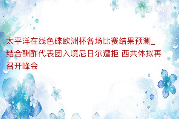 太平洋在线色碟欧洲杯各场比赛结果预测_结合酬酢代表团入境尼日尔遭拒 西共体拟再召开峰会