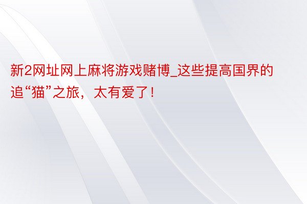 新2网址网上麻将游戏赌博_这些提高国界的追“猫”之旅，太有爱了！