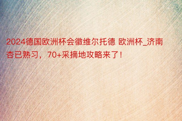 2024德国欧洲杯会徽维尔托德 欧洲杯_济南杏已熟习，70+采摘地攻略来了！